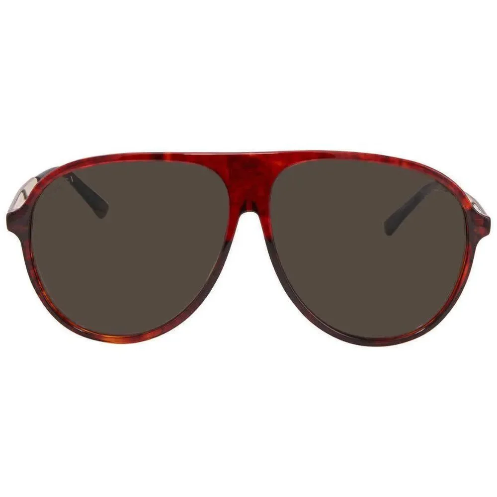 NEW Gucci Brown Aviator Men's Sunglasses
